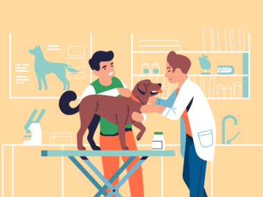 강아지를 만지며 치료하는 모습