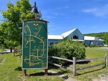 푸릇푸릇한 나무들이 있어 자연친화적인 환경이 느껴지는 캠프힐 입구 사진