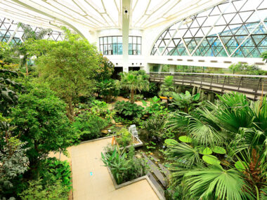 초록색으로 싱그러움이 느껴지는 서울식물원 내부 모습