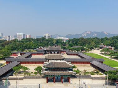 서울대병원에서 바라본 창경궁 사진