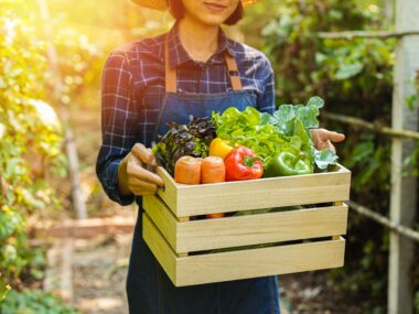 당근, 상추 등 채소를 들고 있는 여성의 이미지